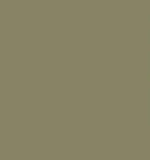 New Khaki twill 